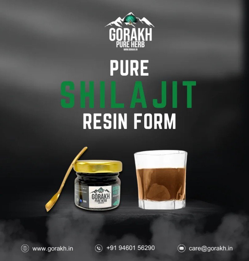 Gorakh Pure Herb Shilajit 100% Ayurvadic Shilajit